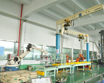 江苏中科机器人科技有限公司 研发中心-包装码垛生产线，加工装配检测实验室精密